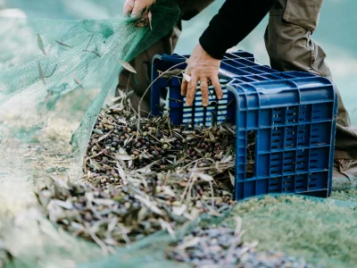 Holiday apartment Casa Madonna della Neve - Environment photo 23