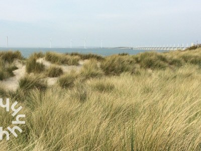 Bungalow Bungalow Kamperland - ZE1121 - Environment photo 34