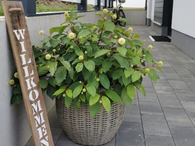 Holiday house No title - Outdoor photo 5