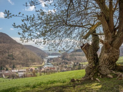 Holiday house No title - Environment photo 32