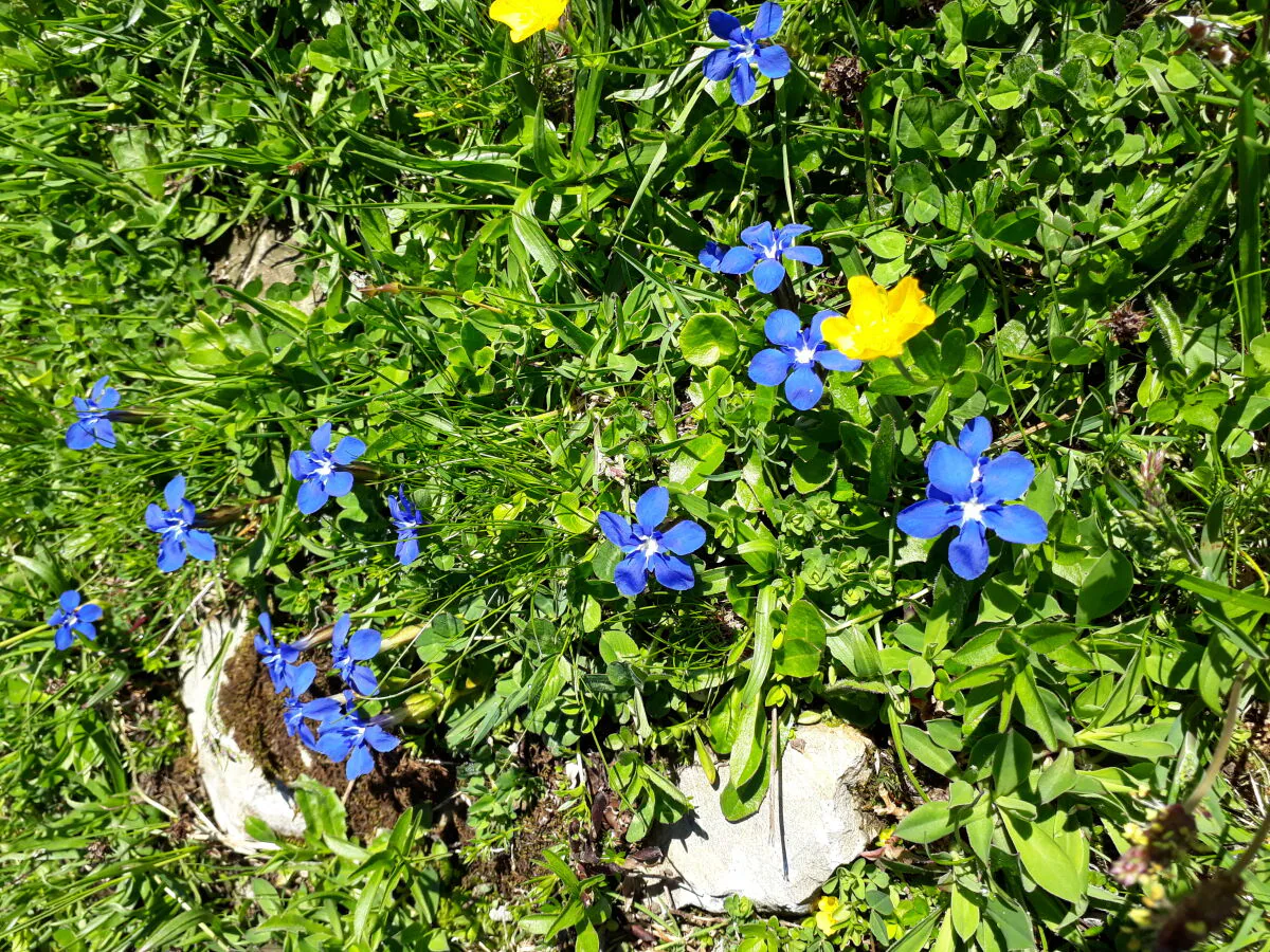 Holiday apartment Niedere - Outdoor photo 5