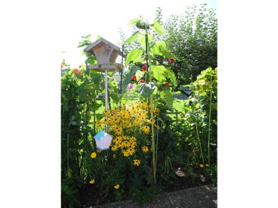 Holiday apartment Niedere - Outdoor photo 4