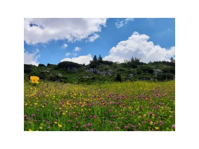 Holiday apartment Niedere - Environment photo 31