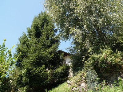 Holiday apartment Casa Panorama - Outdoor photo 6