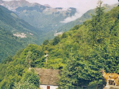 Holiday apartment Casa Panorama - Environment photo 18