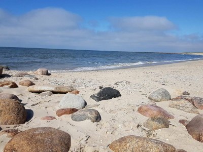 Holiday house Luxury Spa Retreat in Blavand - By Traum Ferienwohnungen - Outdoor photo 18