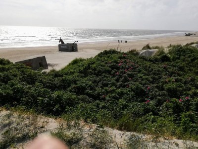 Holiday house Luxury Spa Retreat in Blavand - By Traum Ferienwohnungen - Outdoor photo 20