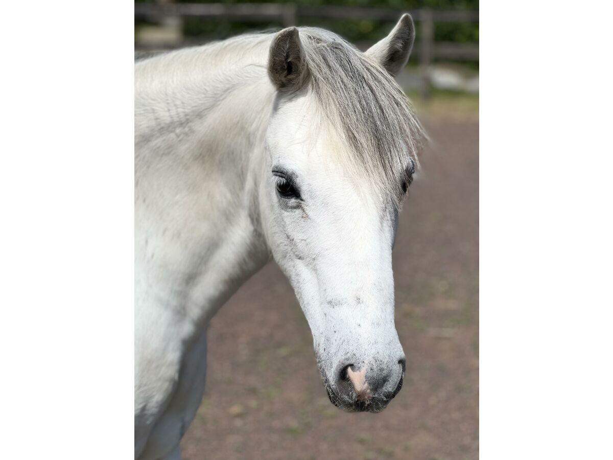 Apartment Ferienwohnung Humerich - Outdoor photo 2