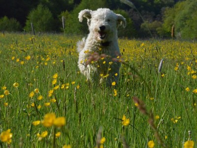 Apartment Ferienwohnung Humerich - Outdoor photo 4