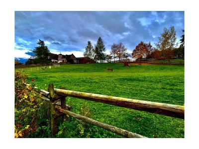 Apartment Ferienwohnung Humerich - Outdoor photo 5