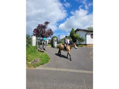 Apartment Ferienwohnung Humerich - Outdoor photo 15
