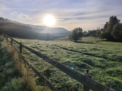 Apartment Ferienwohnung Humerich - Outdoor photo 18