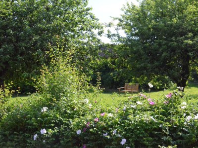 Apartment Ferienwohnung Humerich - Features photo 22