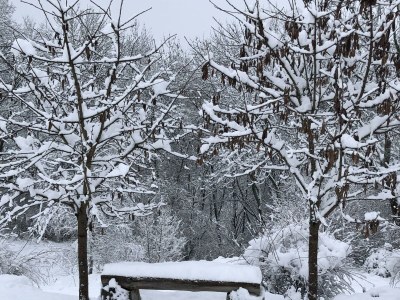 Apartment 4-Bett-Ferienhaus Dusche/WC, 2 Schlafräume - Outdoor photo 15