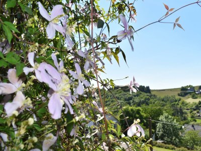 Apartment Fewo Zum Harpelstein - Outdoor photo 3