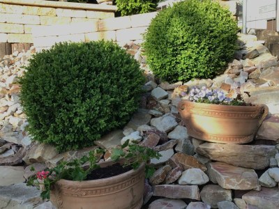 Apartment Fewo Zum Harpelstein - Outdoor photo 4