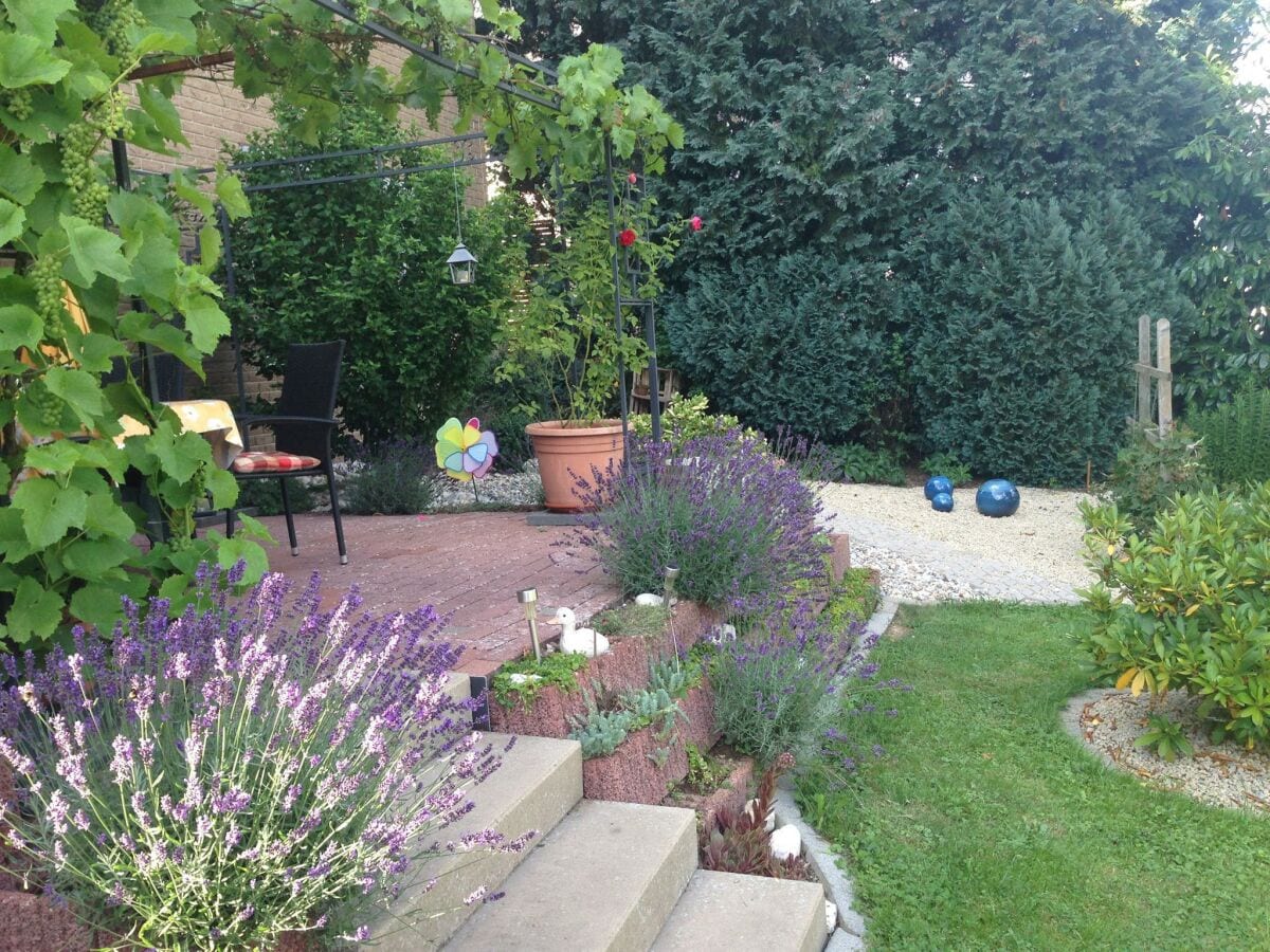 Apartment Fewo Mehlig - Outdoor photo 3