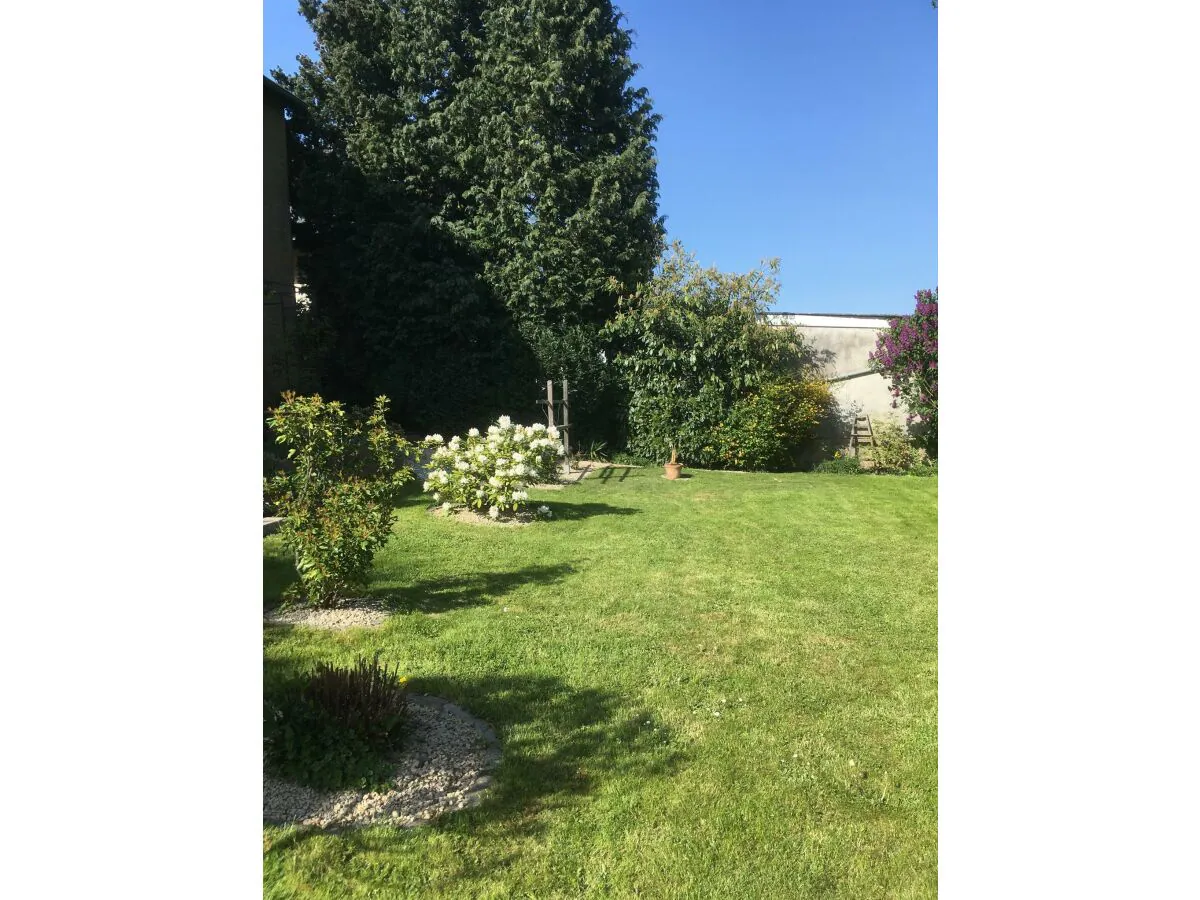 Apartment Fewo Mehlig - Outdoor photo 5