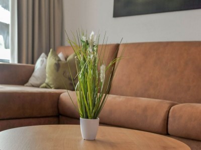 Apartment Golden Lodges Rauris Resort with parking - Outdoor photo 33