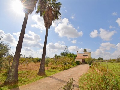 Cottage 198 Villa Can Nina ETV/9222 by Mallorca Charme - Outdoor photo 14