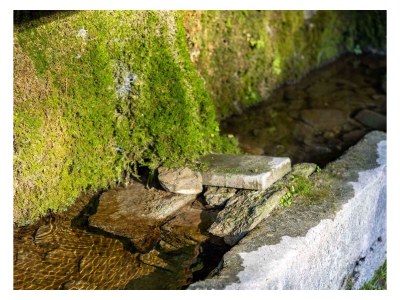 Holiday apartment Busacker 3 - Outdoor photo 8