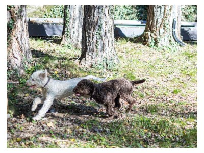 Holiday apartment Busacker 3 - Outdoor photo 9