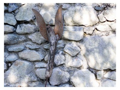 Holiday apartment Busacker 3 - Outdoor photo 10