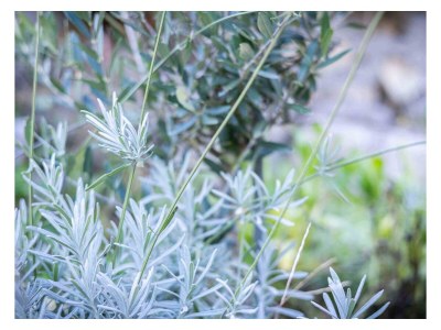 Holiday apartment Busacker 3 - Outdoor photo 11