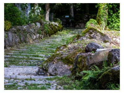 Holiday apartment Busacker 3 - Outdoor photo 14