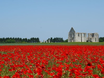 Holiday house La Cressonnière - Environment photo 27