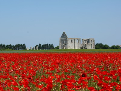 Holiday house La Maison du coin - Environment photo 22