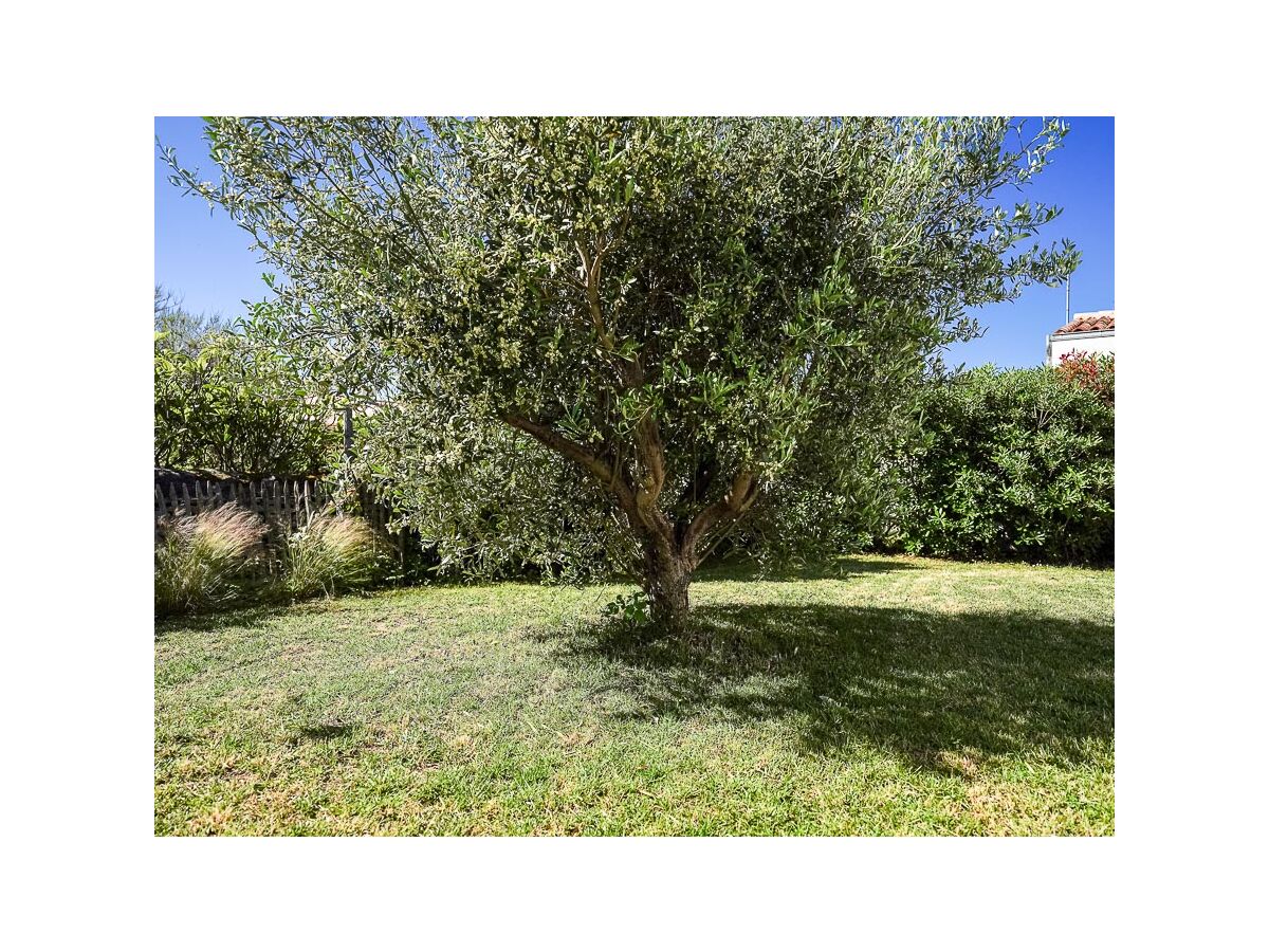 Holiday house Le Patio des frênes - Outdoor photo 4