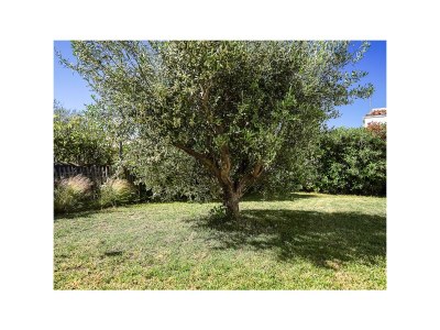 Holiday house Le Patio des frênes - Outdoor photo 4