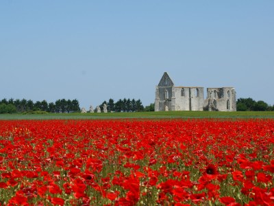 Holiday house Les 3 Patios - Environment photo 24