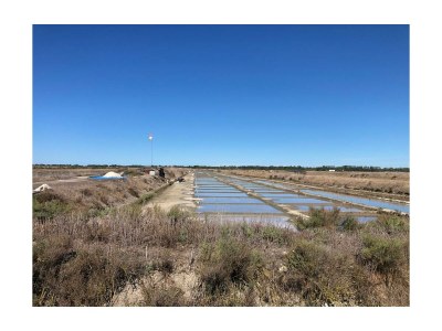 Holiday house Les 3 Patios - Environment photo 26