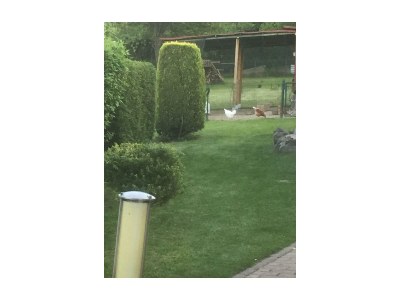 Apartment Ferienwohnung mit Terrasse - Outdoor photo 6