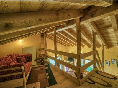 Holiday house Chalet Monica - Features photo 17