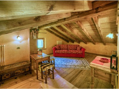 Holiday house Chalet Monica - Features photo 18