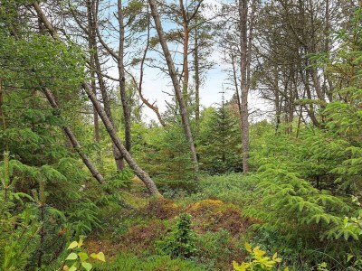 Holiday house 5 Personen Ferienhaus in Ålbæk-By Traum - Outdoor photo 4