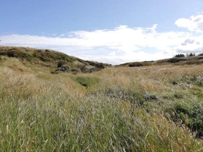 Holiday house 5 Personen Ferienhaus in Ålbæk-By Traum - Outdoor photo 6