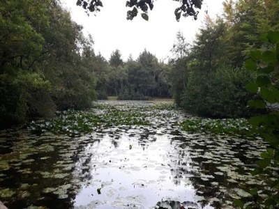 Holiday house 5 Personen Ferienhaus in Ålbæk-By Traum - Outdoor photo 9