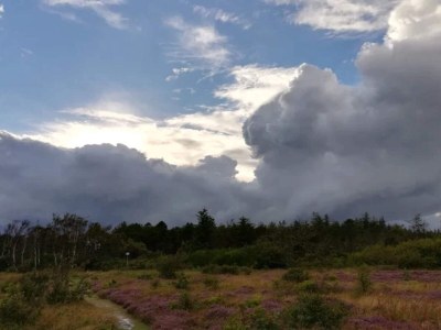 Holiday house 5 Personen Ferienhaus in Ålbæk-By Traum - Outdoor photo 19