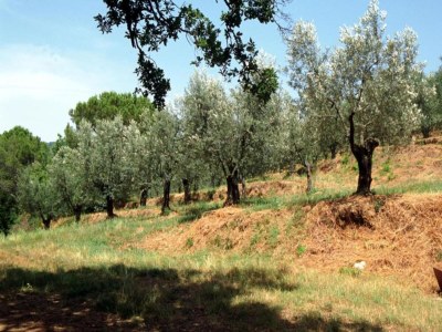 Holiday house Charmantes Stein-Retreat - Environment photo 24