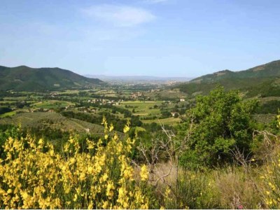 Holiday house Charmantes Stein-Retreat - Environment photo 25