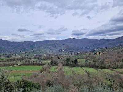 Holiday house Charmantes Stein-Retreat - Environment photo 28