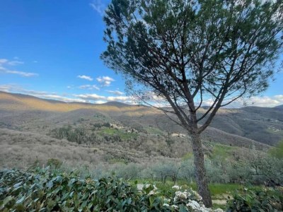 Holiday house Charmantes Stein-Retreat - Environment photo 31