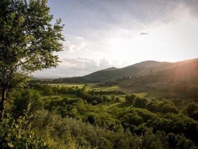 Holiday house Charmantes Stein-Retreat - Environment photo 37