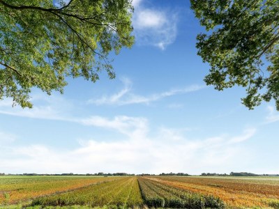Apartment Stimmungsvolle Wohnung in Strandnähe - Environment photo 35