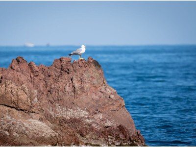 Villa Dream View - Environment photo 30