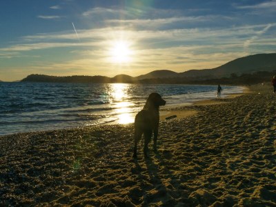 Villa Dream View - Environment photo 33